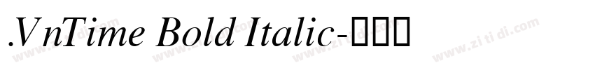 .VnTime Bold Italic字体转换